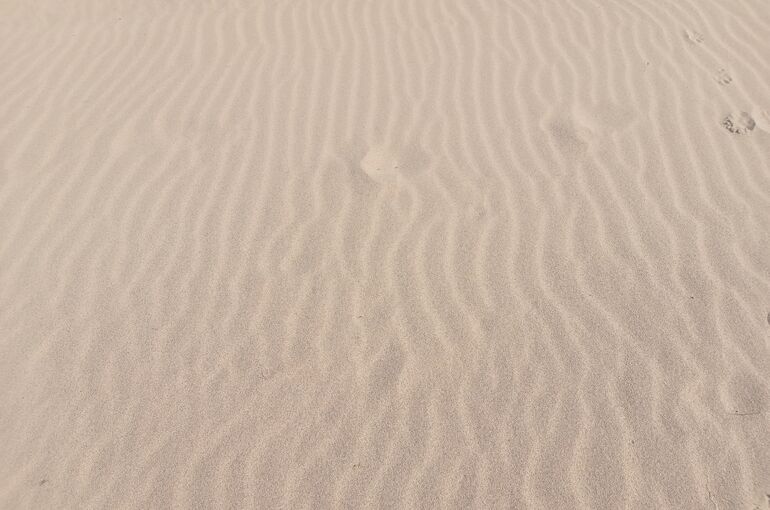 DSC_0656
